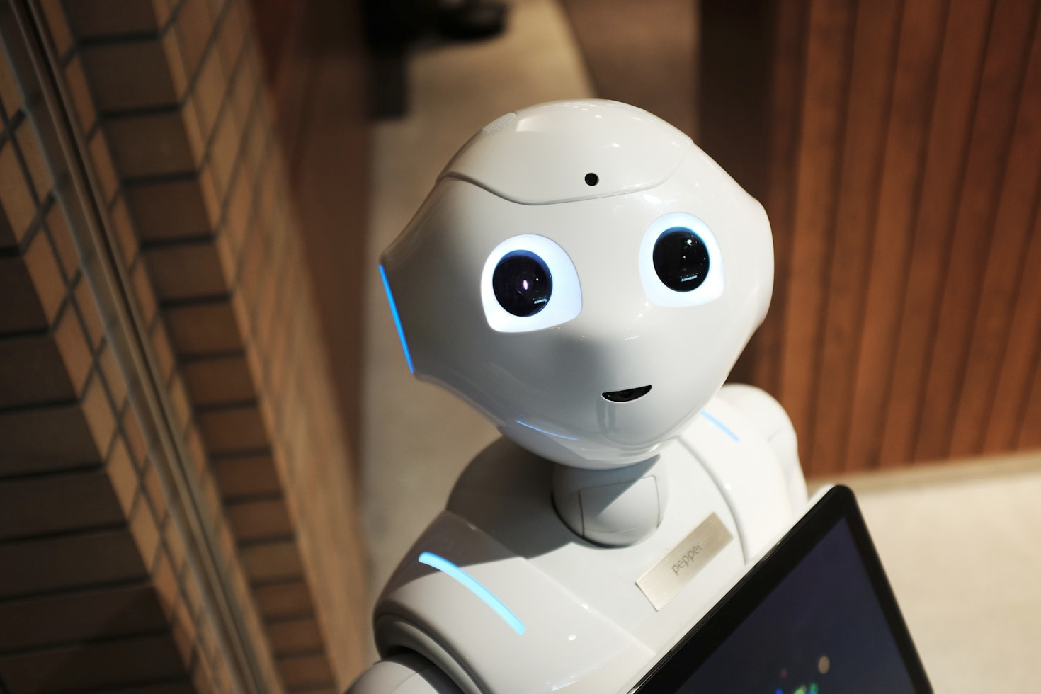 Cómo los chatbots mejoran la fidelización